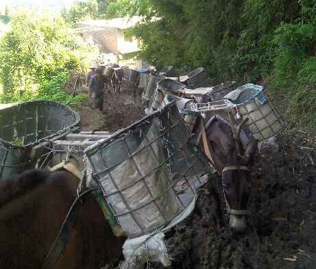 荔湾区马帮搬运