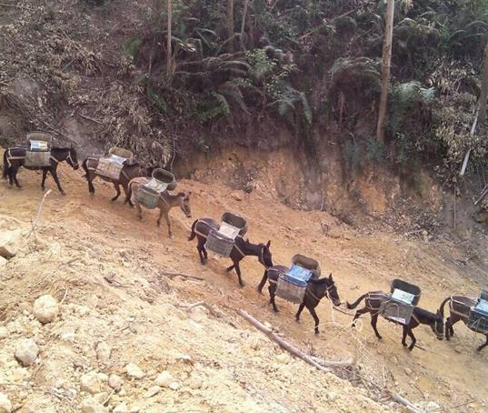 荔湾区山路马帮运输