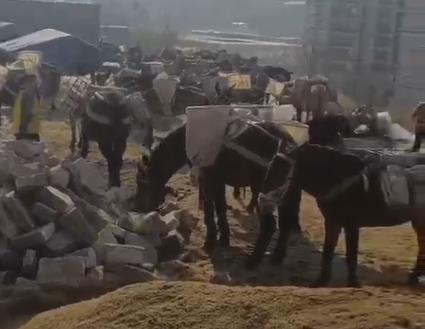 荔湾区马队山路运输
