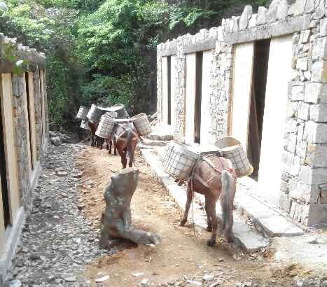 荔湾区马队运输队