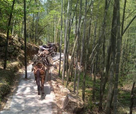 荔湾区山路马队运输