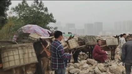 荔湾区骡马山区运输