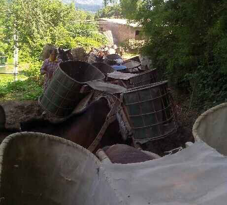 荔湾区骡马运输队