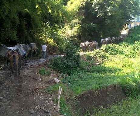 荔湾区马帮运输队