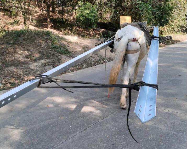 荔湾区马队搬运