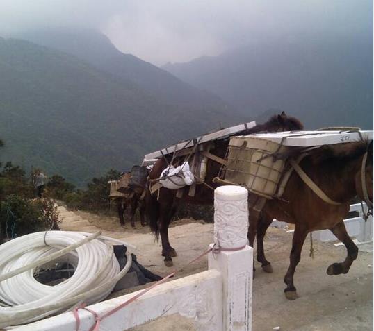荔湾区山区马帮运输